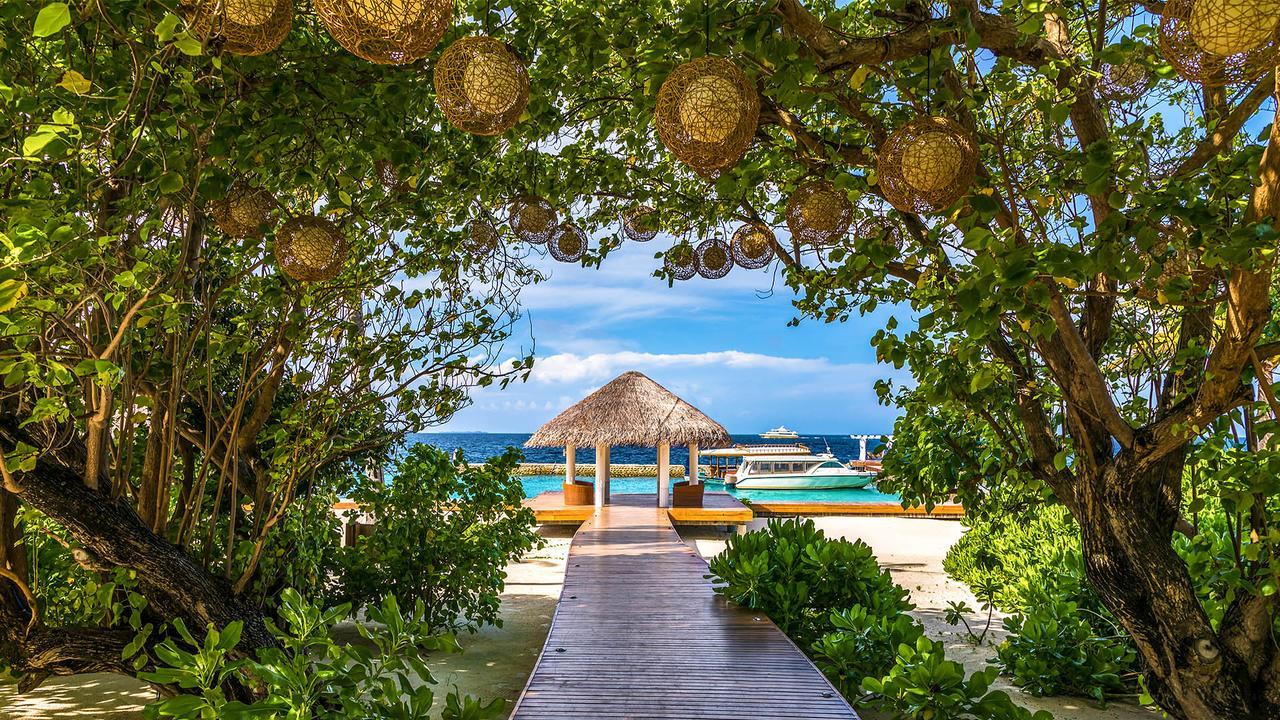 Ari Atoll منتجع وسباز آمايا كودا را مالديفز المظهر الخارجي الصورة