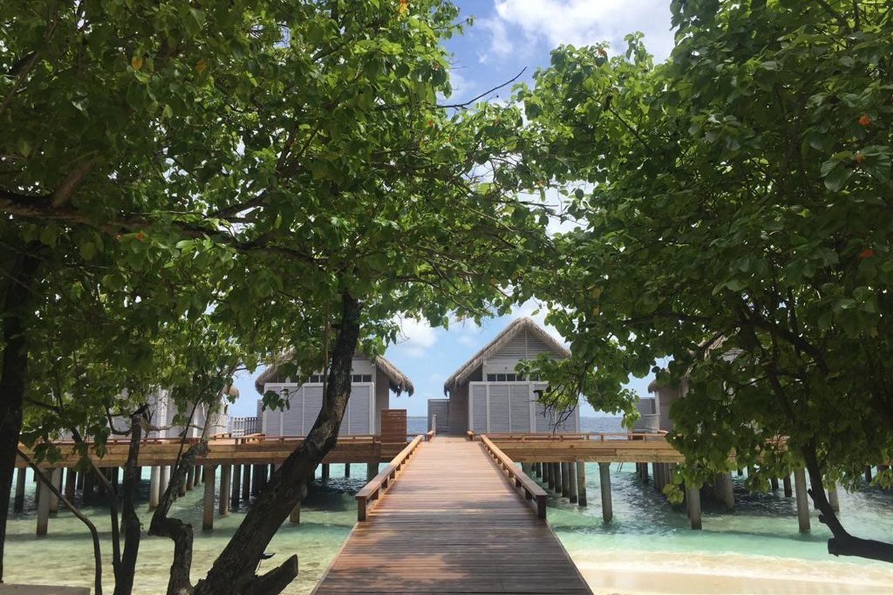 Ari Atoll منتجع وسباز آمايا كودا را مالديفز المظهر الخارجي الصورة